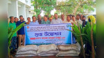 কাউখালীতে ৪২০ কৃষকের মাঝে ২১০০ নারকেল চারা বিতরণ