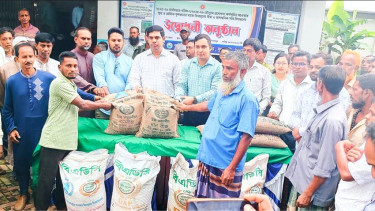 ফুলবাড়ীতে সাড়ে তিন হাজার ক্ষুদ্র ও প্রান্তিক কৃষকের মাঝে বিনামূল্যে সার ও রোপা আমন ধানের বীজ বিতরণ