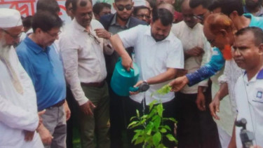 বৃক্ষ রোপন উদ্বোধন করলেন রাসিক প্রশাসক