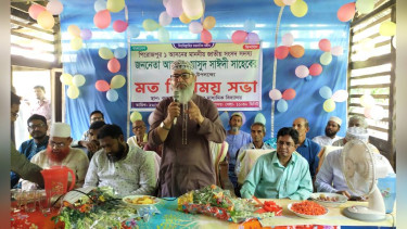 আ’লীগের মন্ত্রী এমপিদের সঙ্গে রাস্তার নামেও মামলা হয়েছে: মাসুদ সাঈদী এমপি