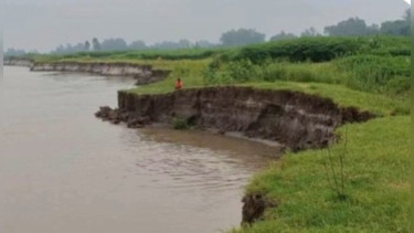 ভূঞাপুরে নদী ভাঙনে বিলীন হচ্ছে ফসলী জমি