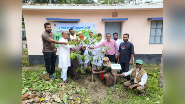 আমতলীতে বৃক্ষরোপণ কর্মসূচীর উদ্বোধন