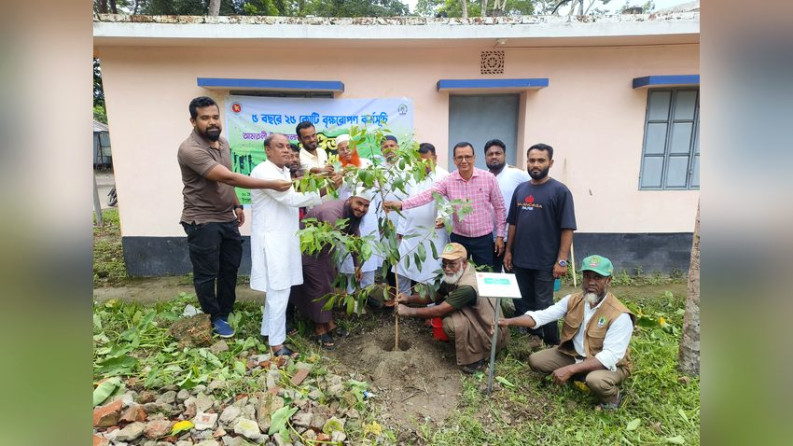 আমতলীতে বৃক্ষরোপণ কর্মসূচীর উদ্বোধন