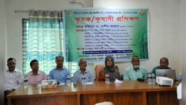 পটুয়াখালীতে পাট উৎপাদন বিষয়ে কৃষক প্রশিক্ষণ