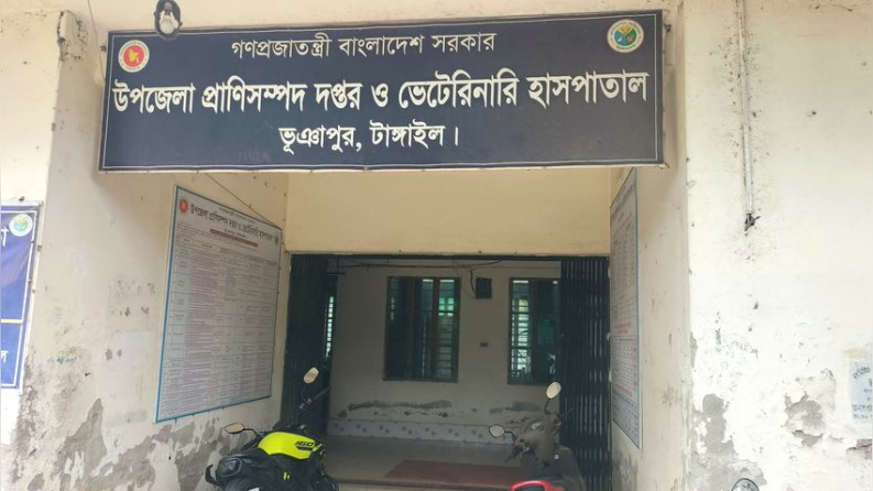 ভূঞাপুরে ৪ জন জনবল দিয়ে চলছে প্রাণী সম্পদ অফিস