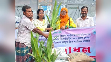 কাঁঠালিয়ায় বিনামুল্যে সারবীজ চারা বিতরণ