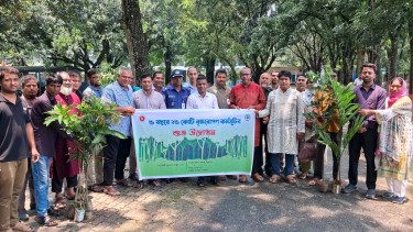 সবুজ বাংলাদেশ গড়তে পীরগঞ্জে বৃক্ষরোপণ কর্মসূচি শুরু
