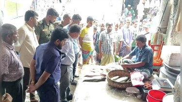 নেছারাবাদে চিংড়ি মাছে জেলি পুশ করায় ৫০ হাজার টাকা জরিমানা