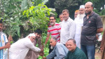 আলফাডাঙ্গায় রোটারি ক্লাব অব ঢাকা লুমিনাসের উদ্যোগে ৩০০ গাছের চারা রোপণ