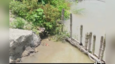 যমুনায় বিলীন হচ্ছে ফসলি জমি, হুমকির মুখে তারাকান্দি-টাঙ্গাইল আঞ্চলিক মহাসড়ক