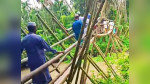 কাউখালীর জোলাগাতি খালে ঝুঁকিপূর্ণ বাঁশের সাঁকো,শতাধিক মানুষের দুর্ভোগ