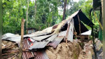 কাঁঠালিয়ায় বৃষ্টিতে গৃহহীন হতদরিদ্র পরিবার