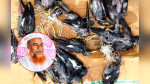 পাখি মেরে পৌচাশিক আনন্দ পান জামাল
