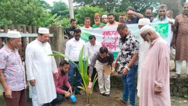 লালমোহনে কৃষি প্রণোদনার আওতায় বিনামূল্যে বীজ, সার ও বৃক্ষের চারা বিতরণ