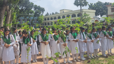 চাটমোহরে ক্লেমন এক লক্ষ্যে এক লাখ বৃক্ষরোপণ কর্মসূচি পালন
