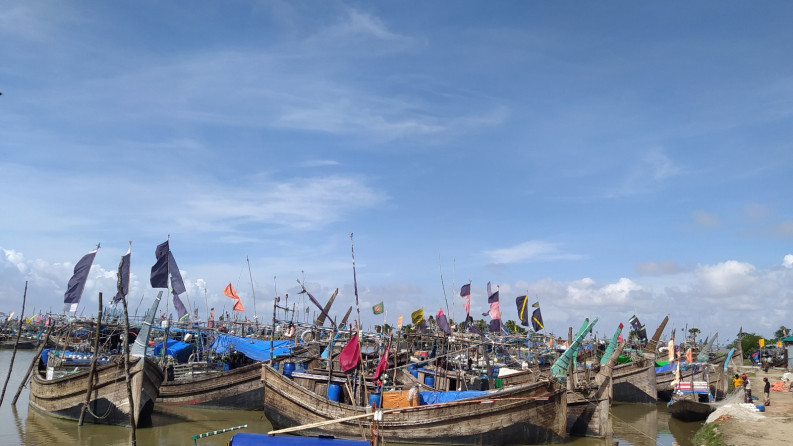 নদী–সাগরে ইলিশের আকাল,শূন্য হাতে ফিরছে জেলেরা