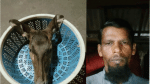 ফেজবুকে পোস্ট দিয়ে কয়রায় হরিণের মাংস বিক্রির অভিযোগ