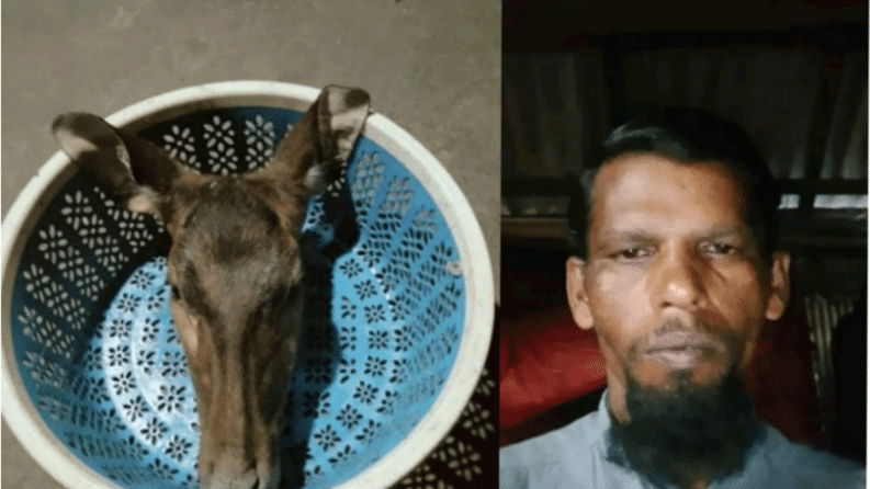 ফেজবুকে পোস্ট দিয়ে কয়রায় হরিণের মাংস বিক্রির অভিযোগ