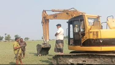 পটুয়াখালীতে সংরক্ষিত বনে তরমুজখেত, উপড়ে ফেলা হলো ৫০০ ঝাউগাছ
